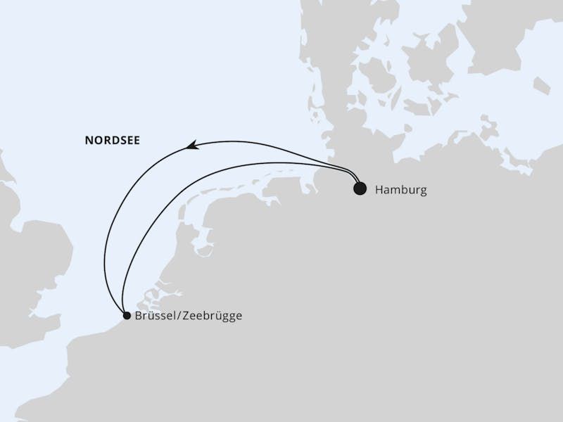 Festival Cruise