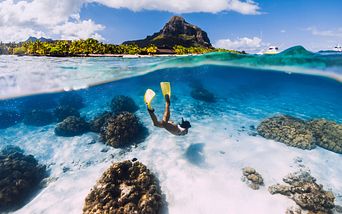 weltenbummler orient, südafrika & mauritius