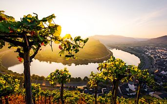 mosel erlebnis