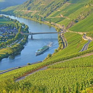 Mosel_AdobeStock_100170164©mh90photo