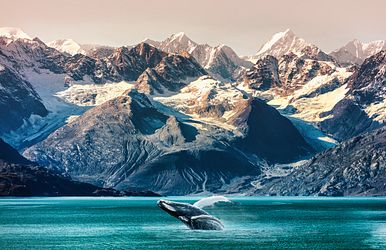 oceania frühbucherpreise alaska 2026