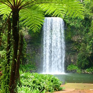 Cairns Millaa Falls Australien