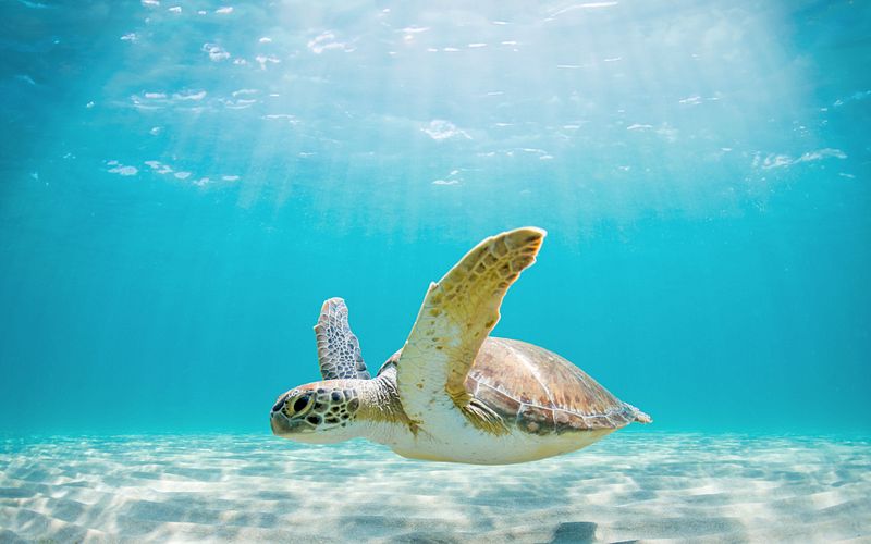 best of mittelamerika