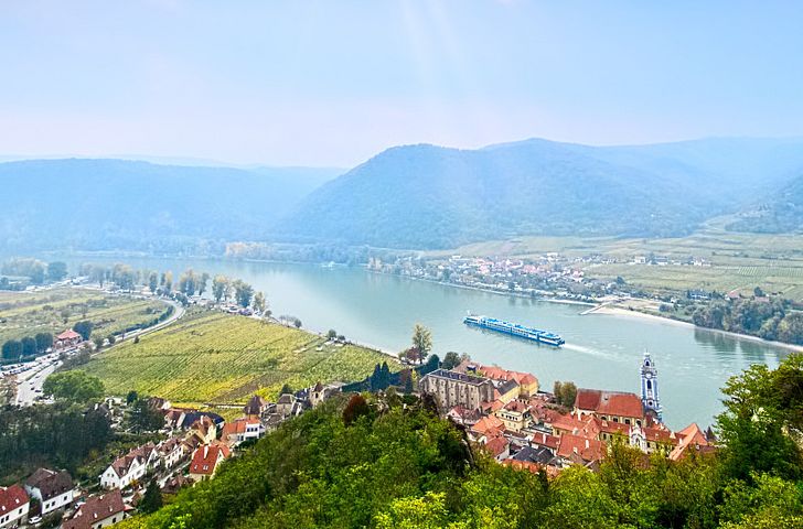 Impressionen zu 1A-vista - MS Classica - Donau mit Hund