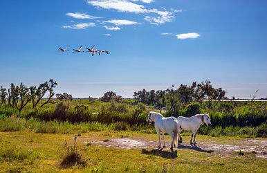 rhône route provence
