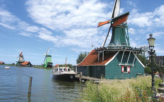 pure frühlingsfreude in holland