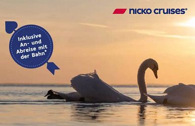 nicko cruises valentinstags-special