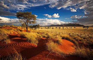Sossusvlei, Namibia, Afrika