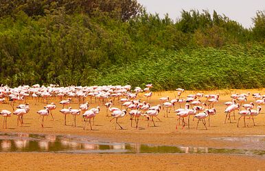 transozean von kapstadt bis mallorca