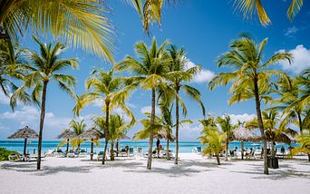 karibikzauber & inselparadies entdeckungstour