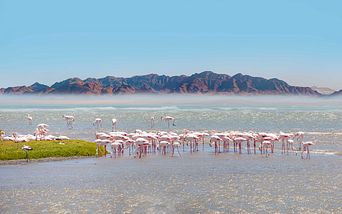 von kapstadt nach gran canaria