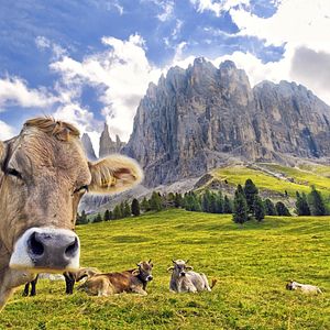 Italien Dolomiten