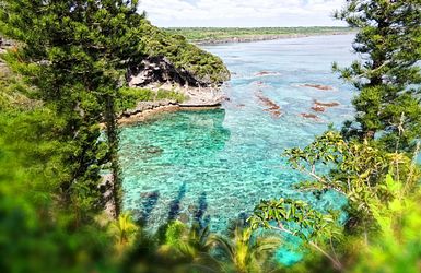 Blick zwischen grünen Bäumen auf Felsen und das Meer