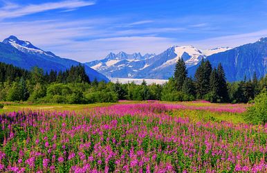 poesias nordpazifik-eskapade