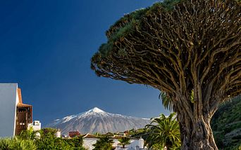 kanaren & madeira / marokko