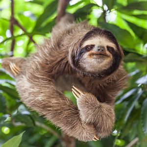 Le Dumont-d'Urville_Allgemein & Bilder_außen_©Fred MICHEL