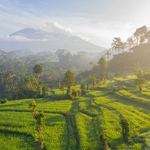 Berg Agung, Reisfelder, Bali