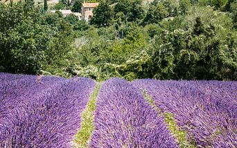 rhône route provence