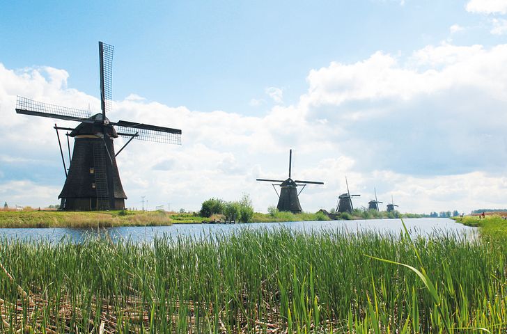 Impressionn zu A-ROSA Frühlings-Freude - Rhein Erlebnis Niederlande & Belgien