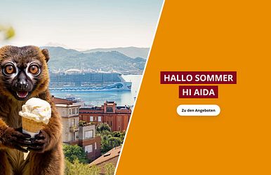 hallo sommer, hi aida