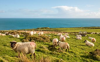 großbritannien & irland