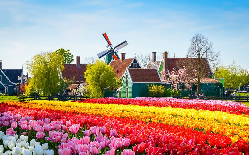 schnupperreise nach holland
