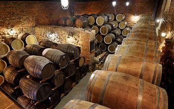 schottische highlights