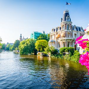 Tulpenfeld vor Windmühlen in Zaanse Schans _AdobeStock_126326810_©Olena Zn 