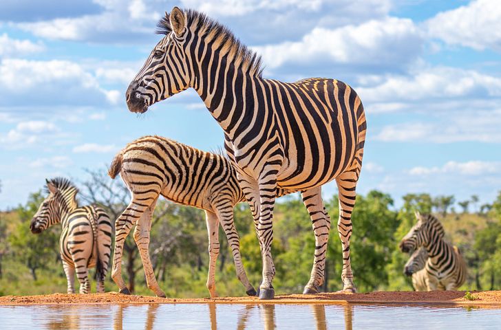 Impression zu AIDA Transreisen inkl. Bordguthaben - AIDAstella - Von Mallorca nach Mauritius