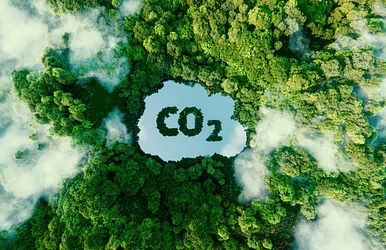 co2 kompensation bei hanseat reisen