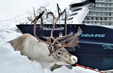 skandinavischer advent