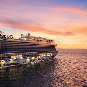 Meeresschildkröte in Cozumel 