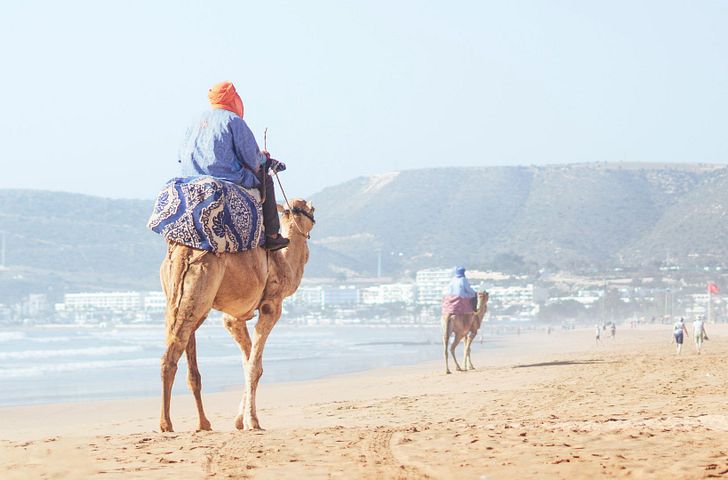 Impressionen zu Winter 2025/26 - Mein Schiff 7 - Kanaren, Madeira und marokkanisches Flair