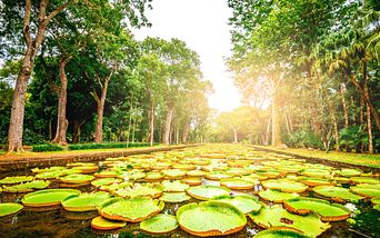 von singapur über mauritius nach kapstadt