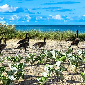 Kieler_Förde_AdobeStock_370242011©Andrea_abo