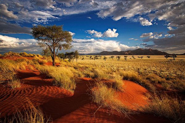 Sossusvlei, Namibia, Afrika