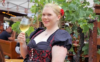 donauzauber