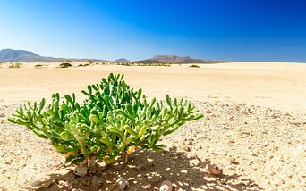 von hamburg auf die kanaren
