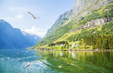 norwegens fjorde