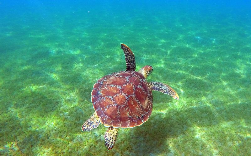 karibische inselträume und mittelmeerzauber