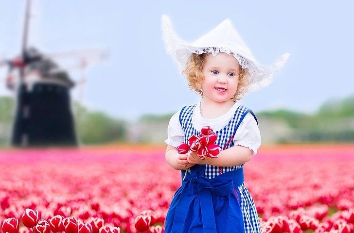 Impressionen zu Phoenix Flussreisen 2027 - MS Alina - Holland und Flandern Tulpenblüte