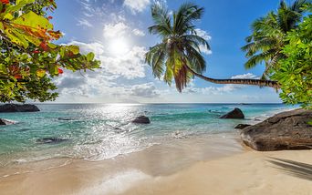 von der karibik nach mallorca