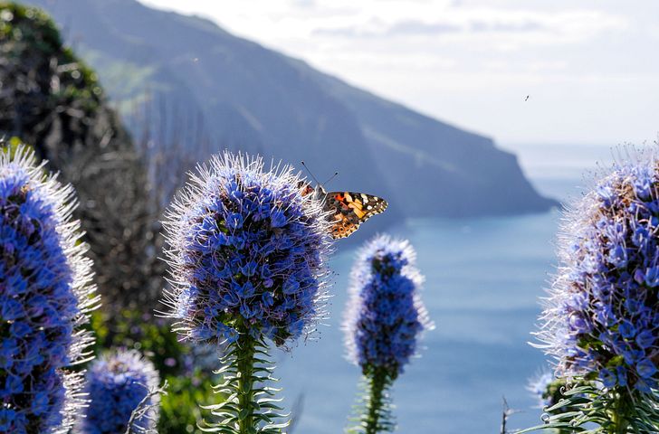 Impression zu AIDA Sommer 2028 - AIDAperla - Von Kapstadt nach Hamburg