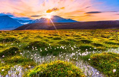 Q:\Destinationen\Norwegen\Spitzbergen\Longyearbyen _AdobeStock_282342903©bublik_polina_abo_bearbeitet.tif