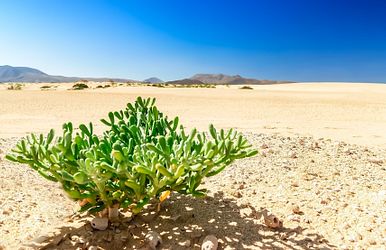 von hamburg auf die kanaren