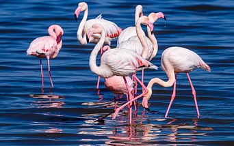 von kapstadt über namibia nach antalya