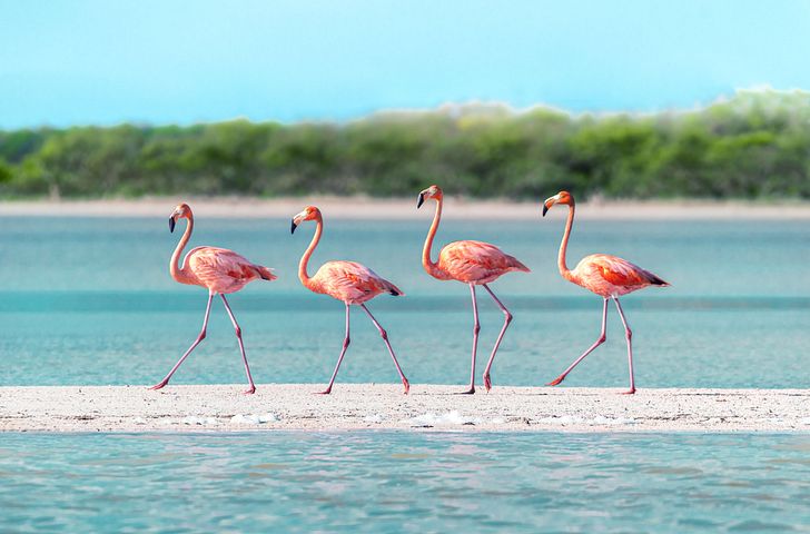 Impression zu AIDA Winter 2027/2028 - AIDAprima - Weltenbummler Karibische Inseln ab Hamburg