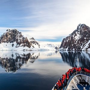Königspinguine, Fortuna Bay, South Georgia, Antarktis