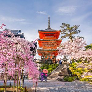 Kiyomizu-dera Temple Kyoto