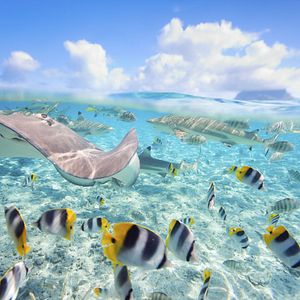 Le Paul Gauguin von außen